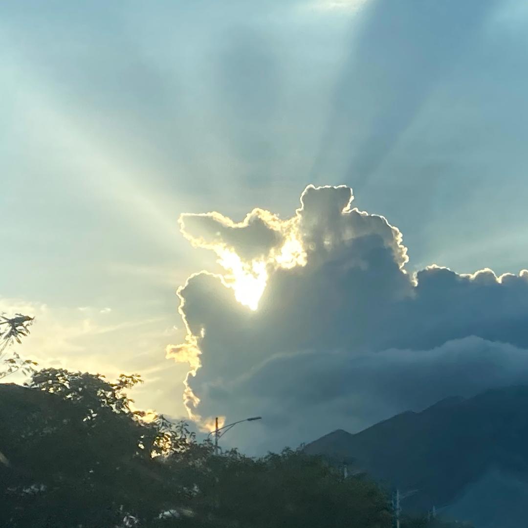 心旭（回溯催眠-深圳）