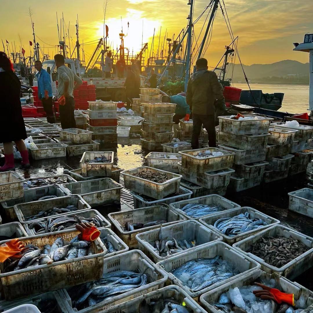 阿杰的海货
