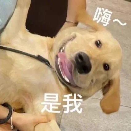 土系小疯子😎