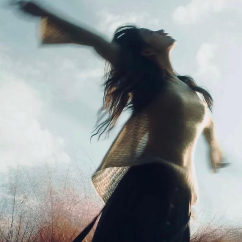 消失的猫.