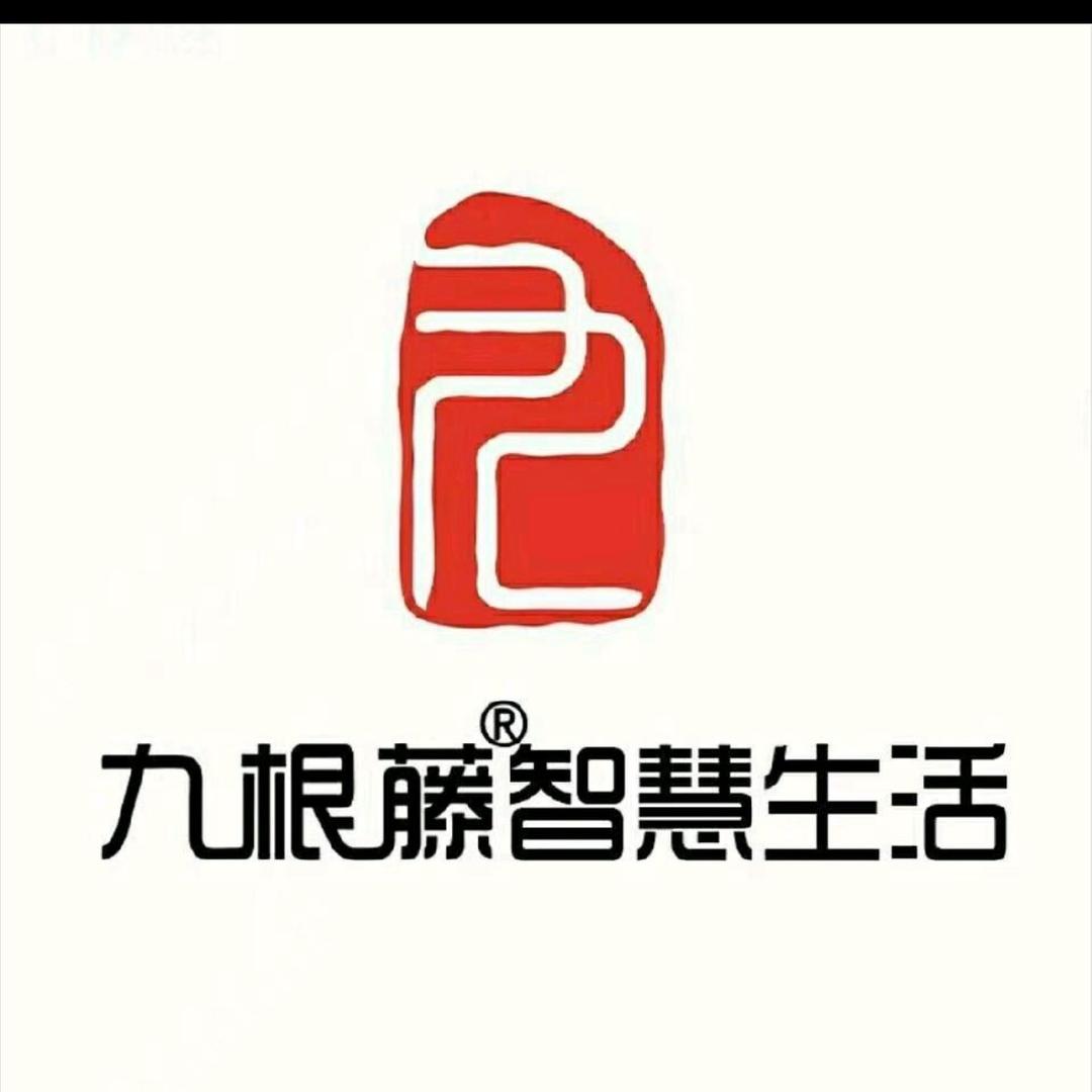 九根藤装饰（专业项目经理）