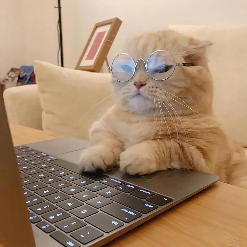 猫咪博士