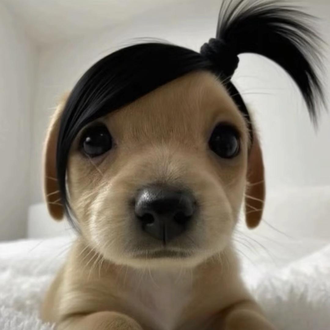 小闹铃🔔