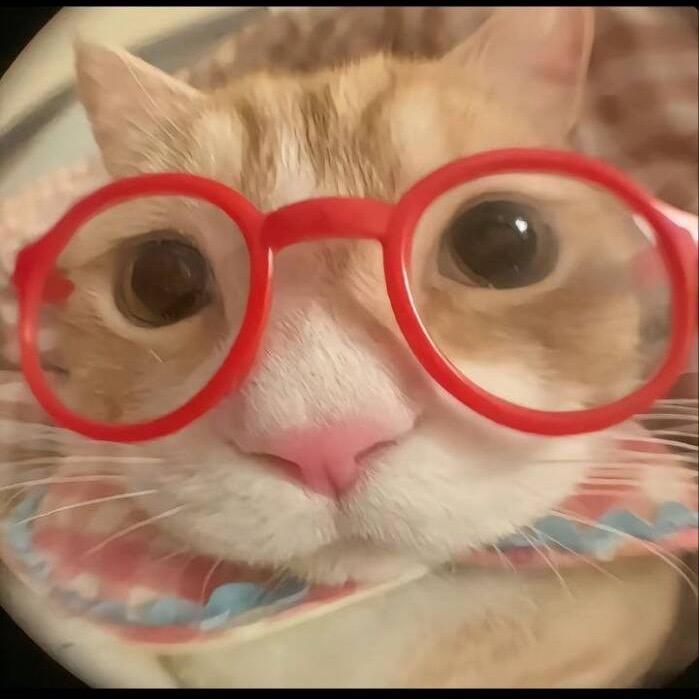 头发乱糟糟