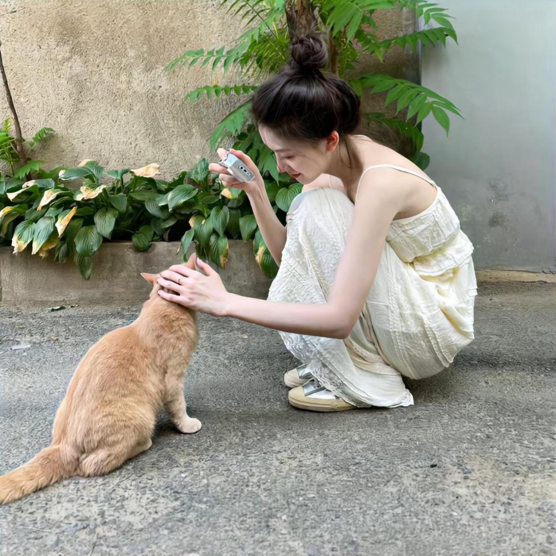 小刘同学🧸