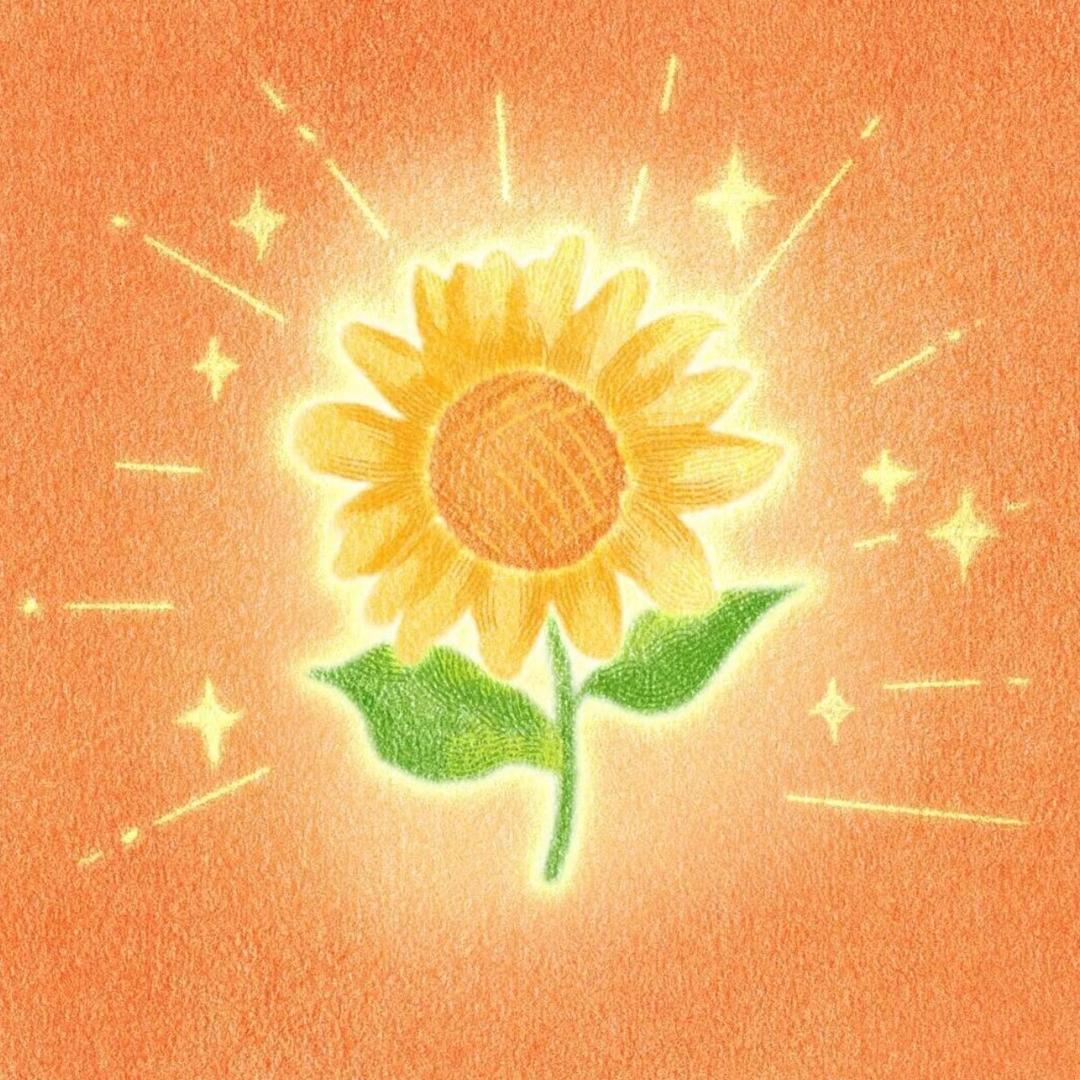 南星✨
