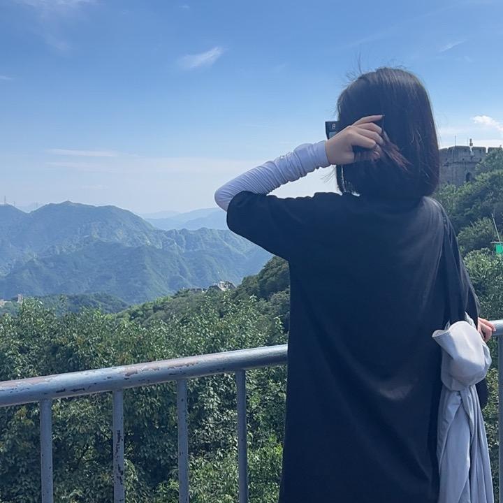 崔莎
