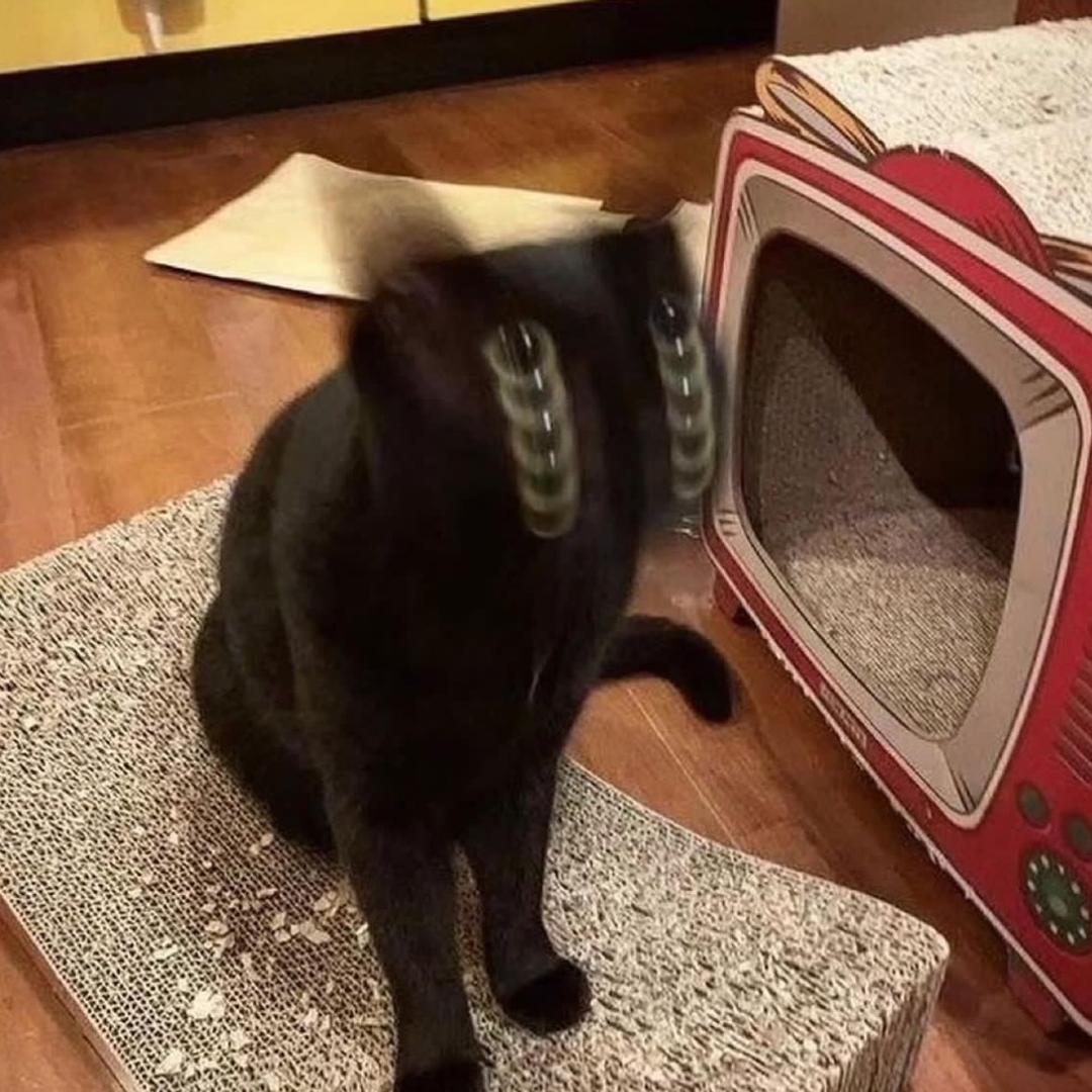 Ovo