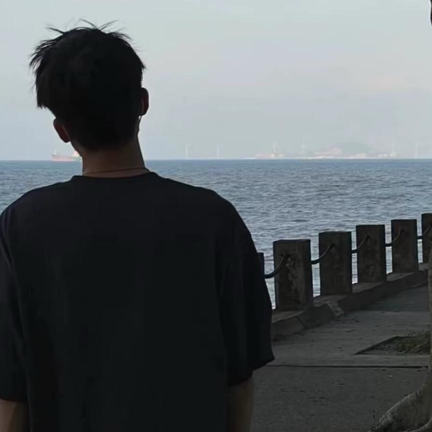 不做梵高
