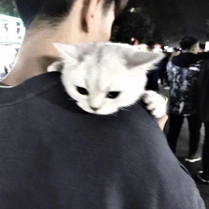 凉白开🌤️