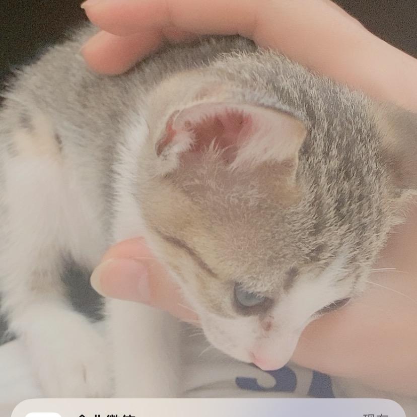 断点……