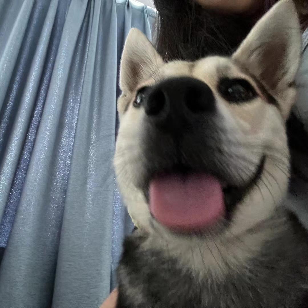 磷酸盐