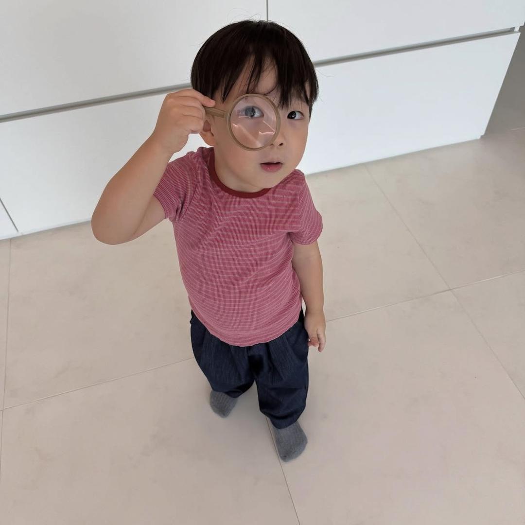 一颗风中摇曳的布栗子