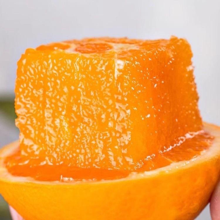 正宗赣州寻乌脐橙