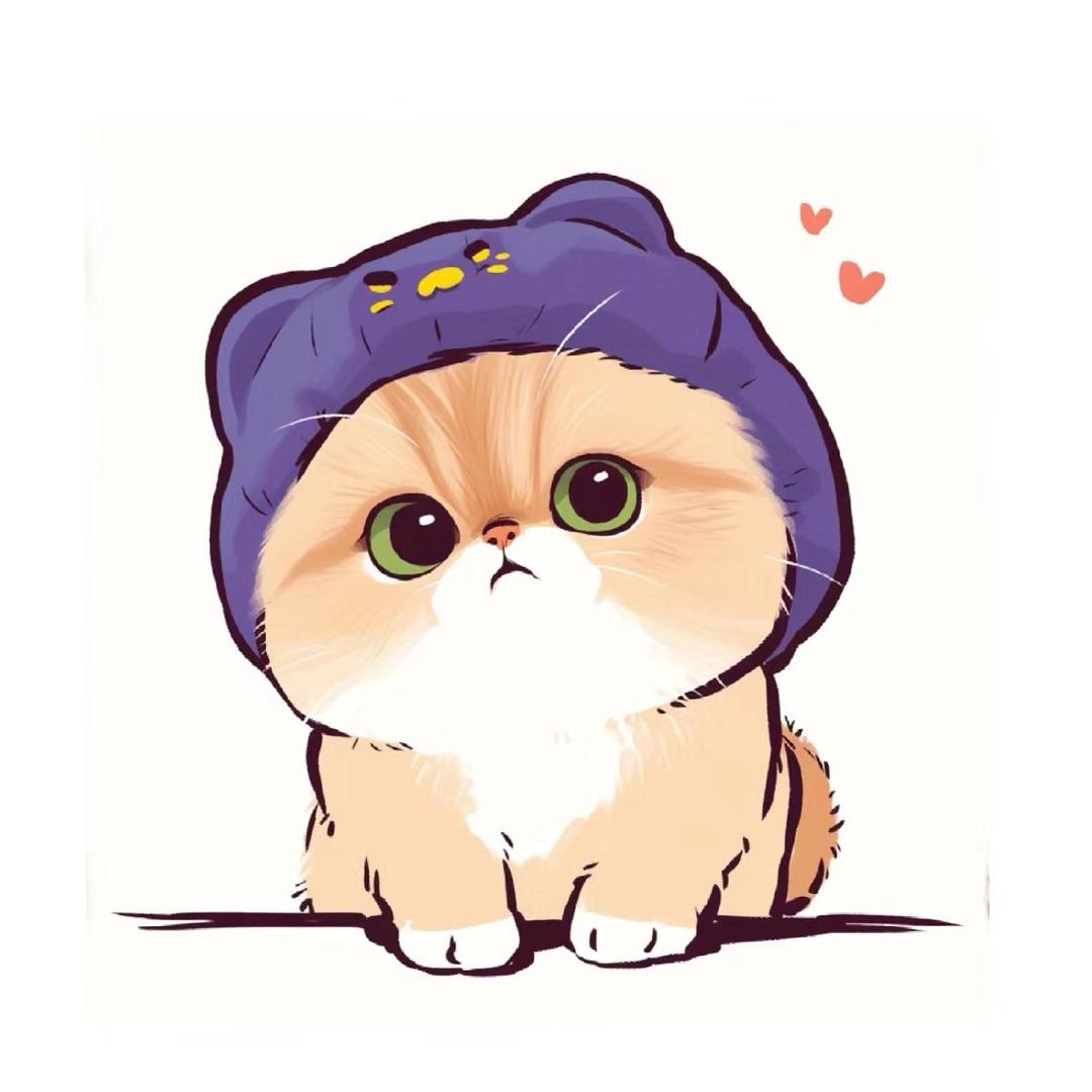 莹莹萌宠 熊版渐层系（1号店）