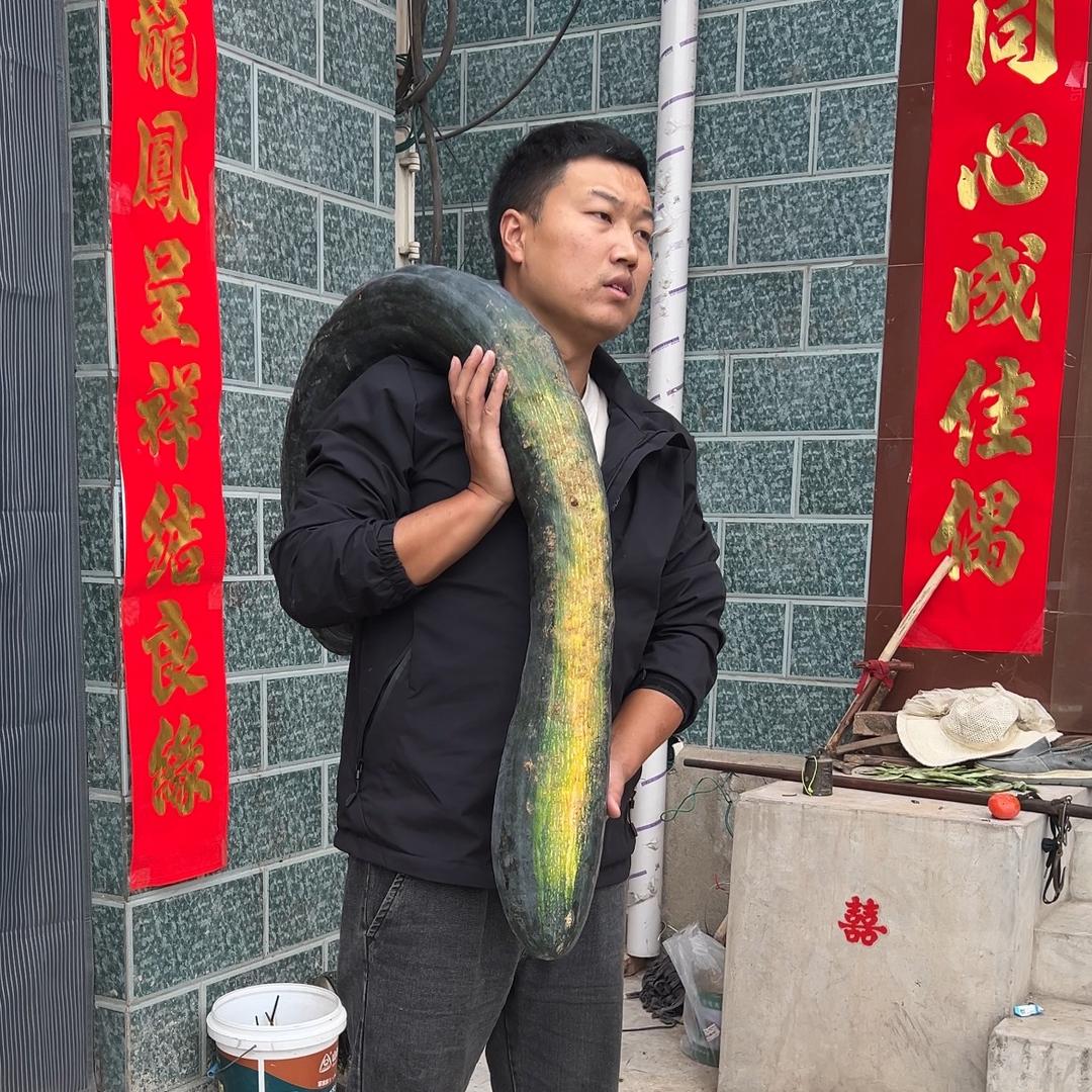 有才生活入门指导