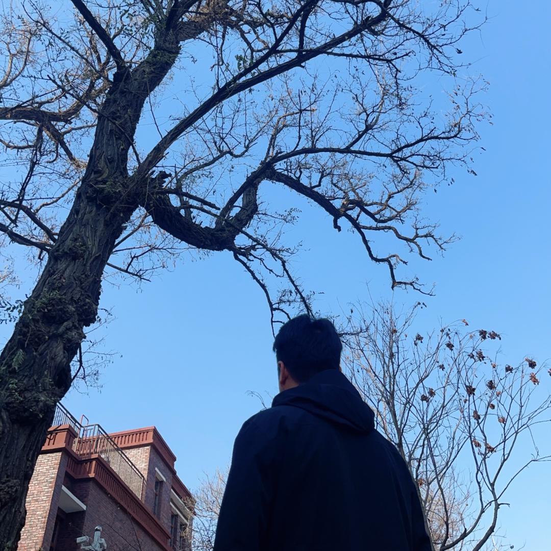 不爱看日落🌅