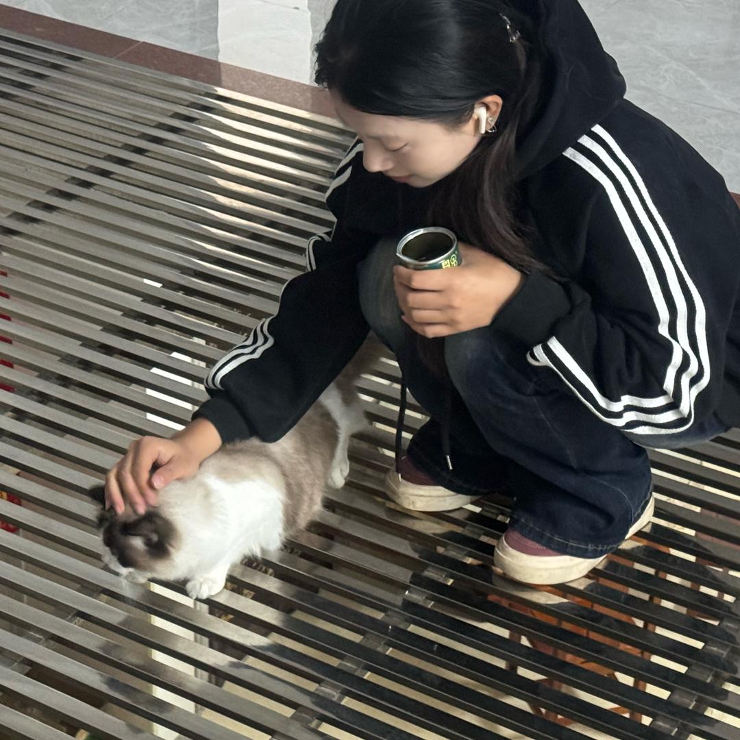聆听小猫心事