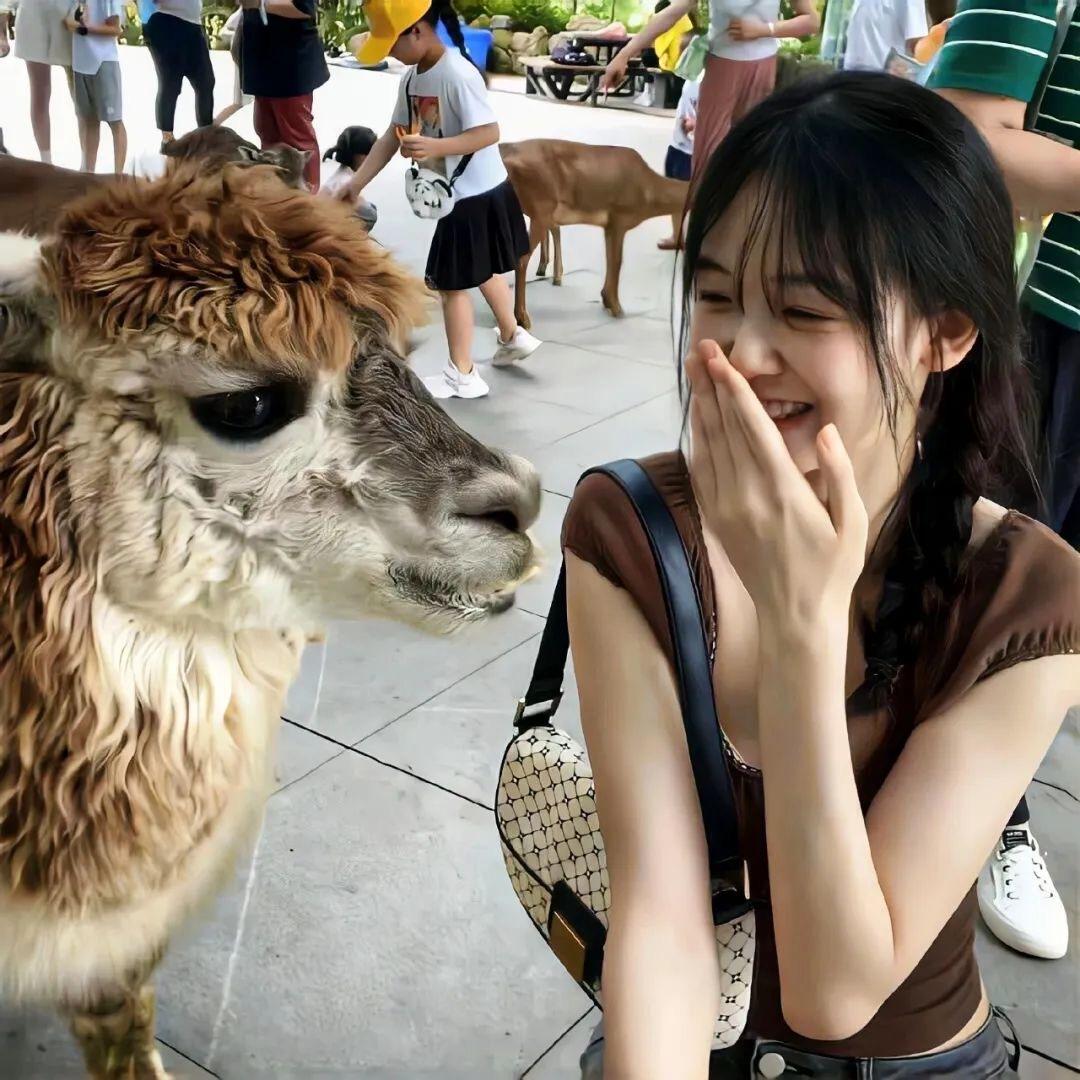 不做梵高