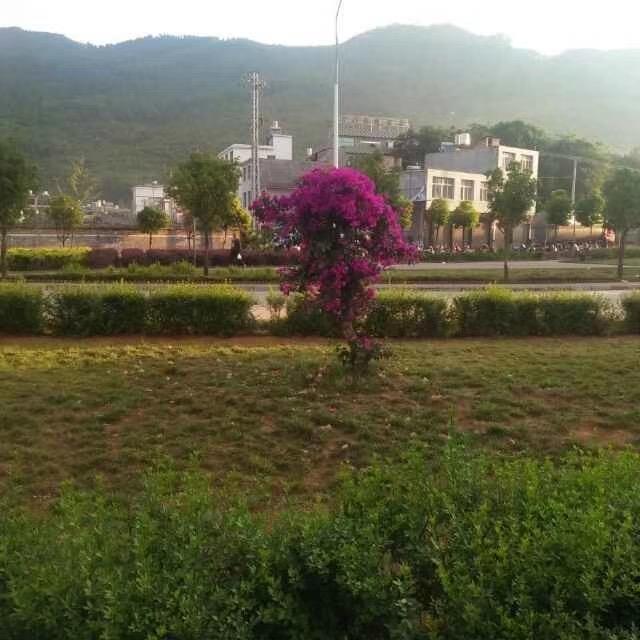 寻找有缘人