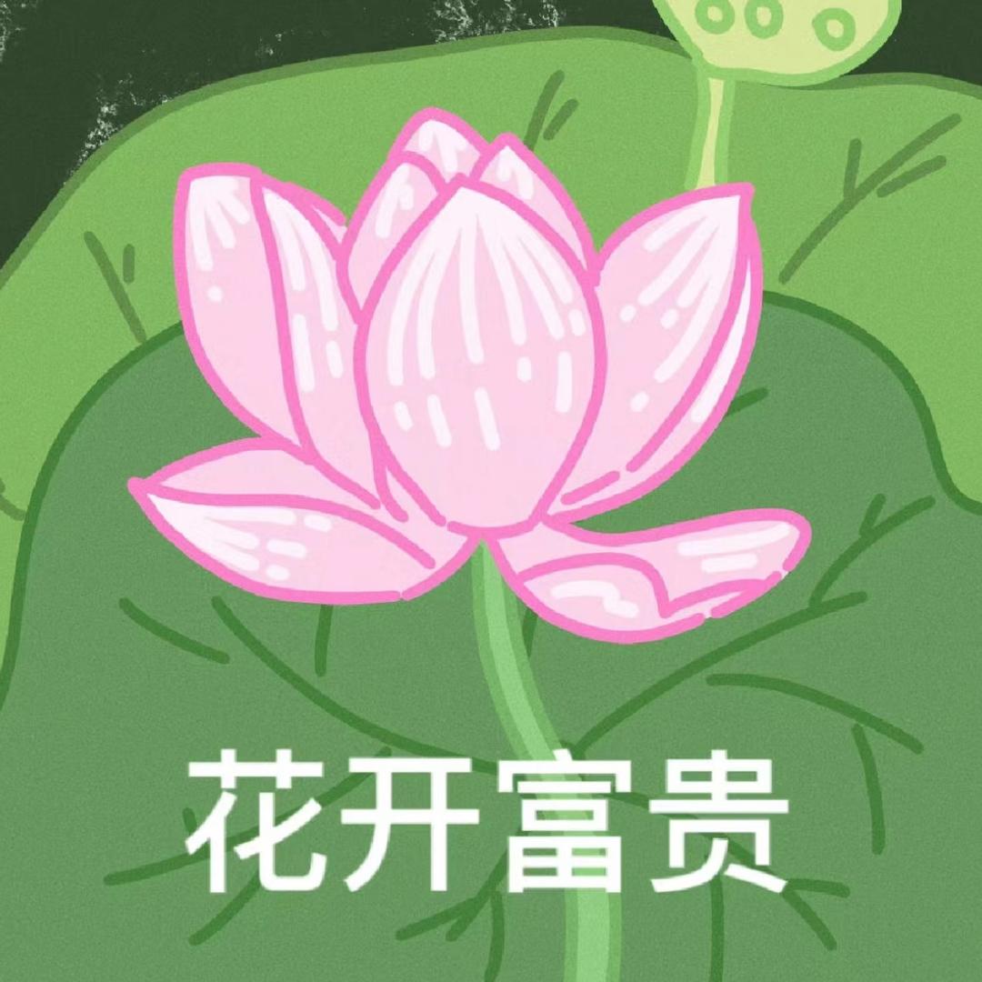 吐噜吐噜皮