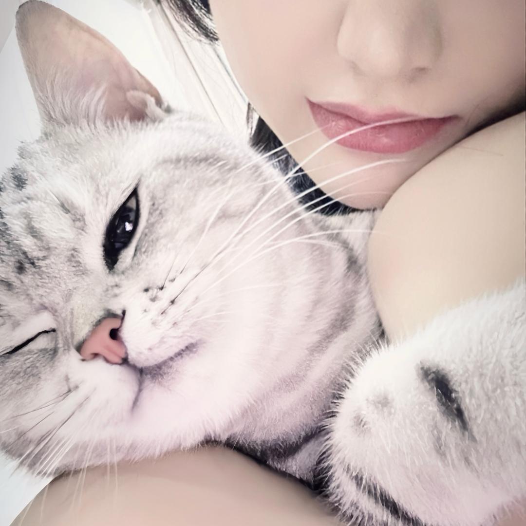 八月的宇