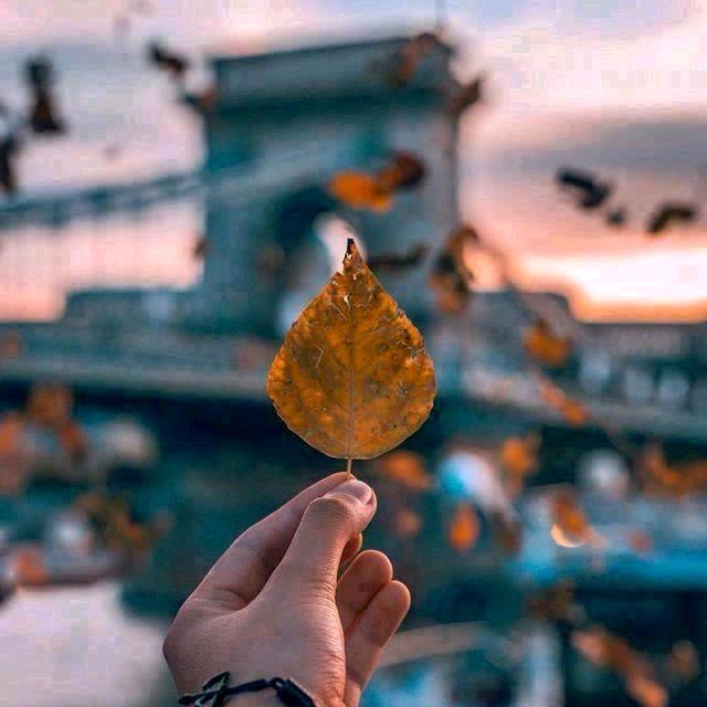 芳芳💋💋