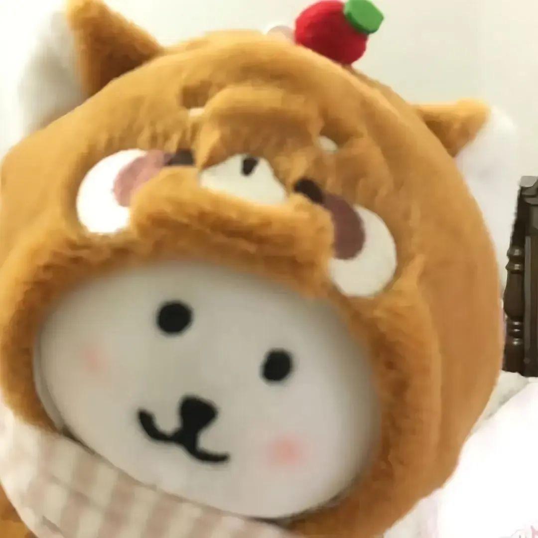 你不懂我的执着.