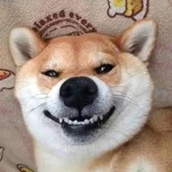 。。