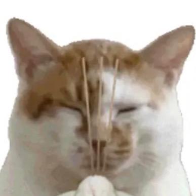赖星