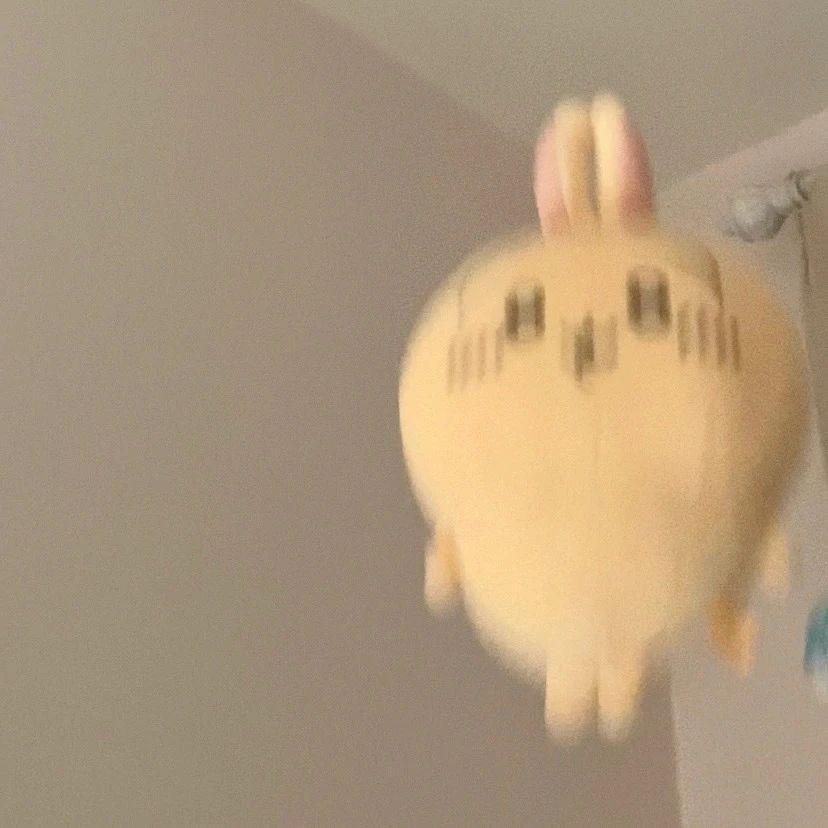 安逸小OO