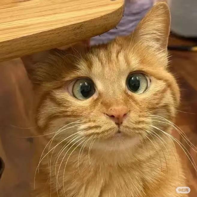 来一碗🍜．