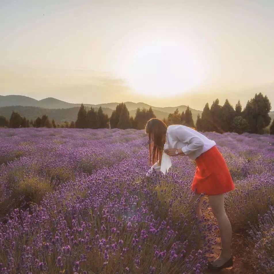 凌 07