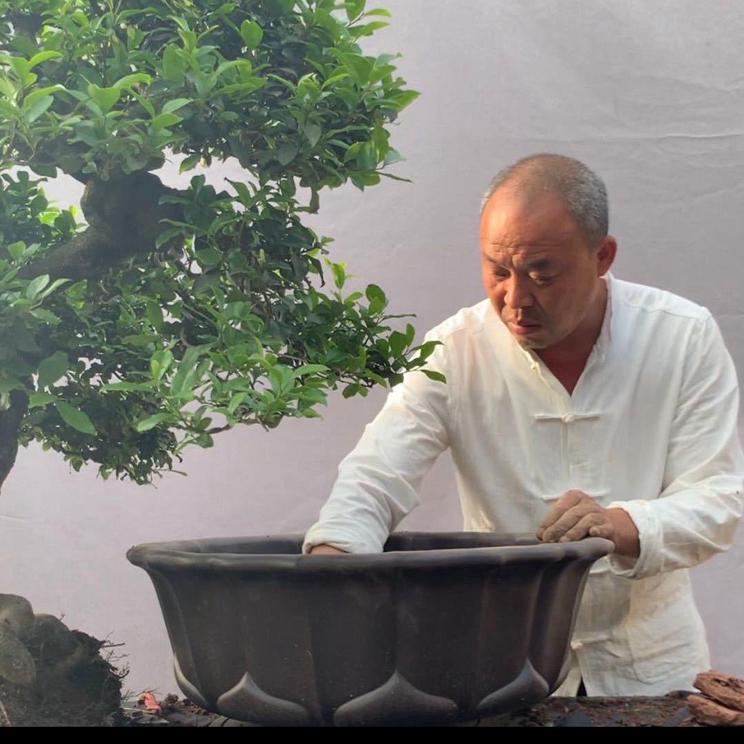 泸州瑞凤金弹子（大号）