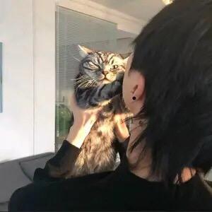 像龙虾靠近