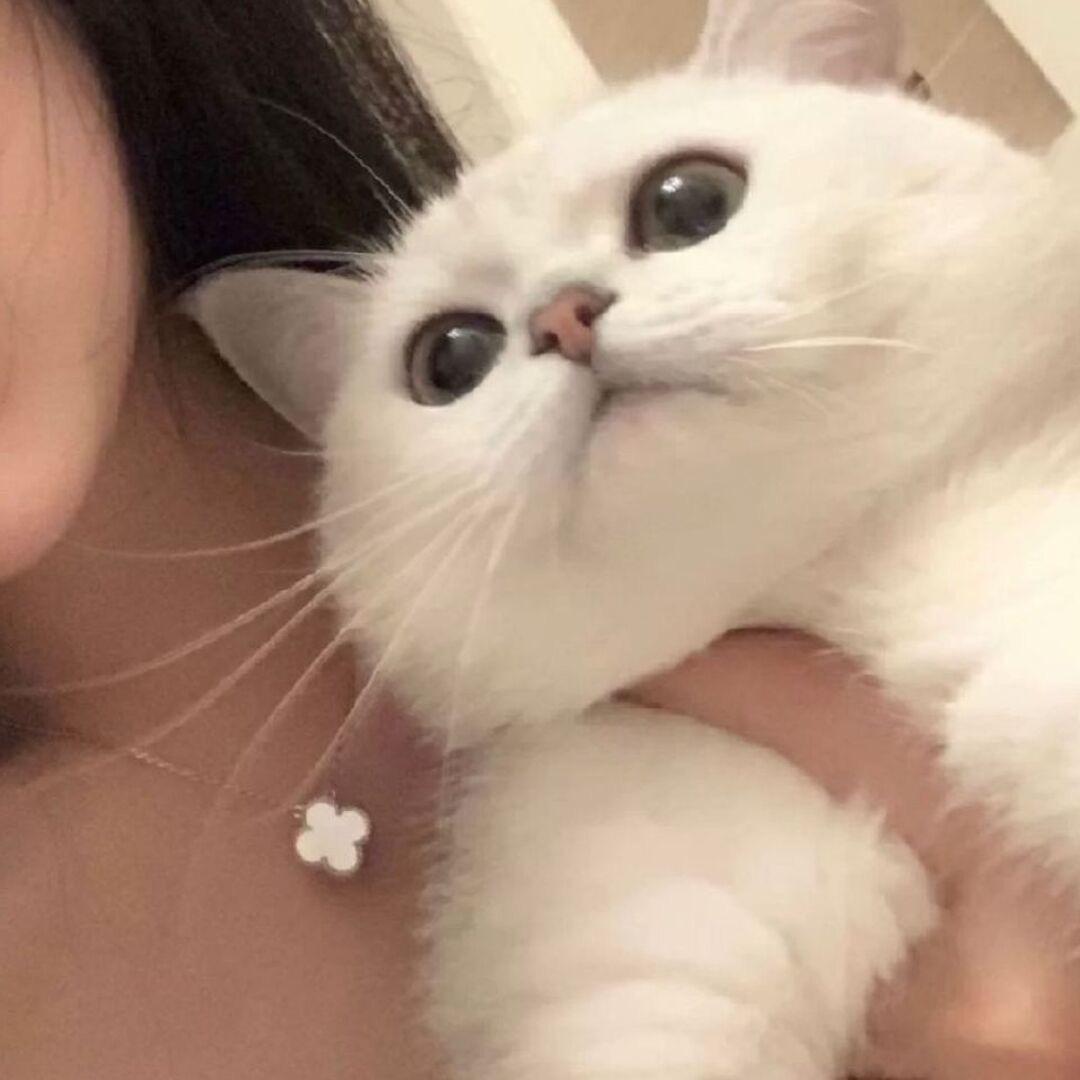 @ 婷