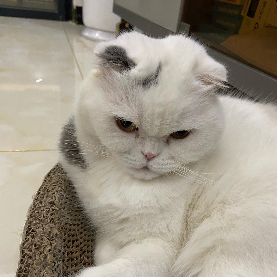 浅 伤