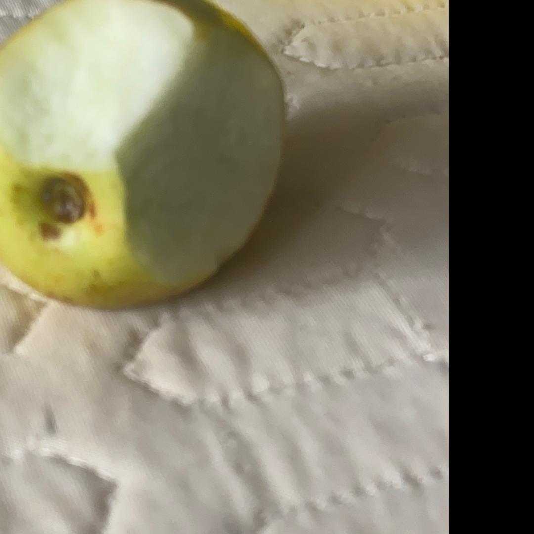 豪王