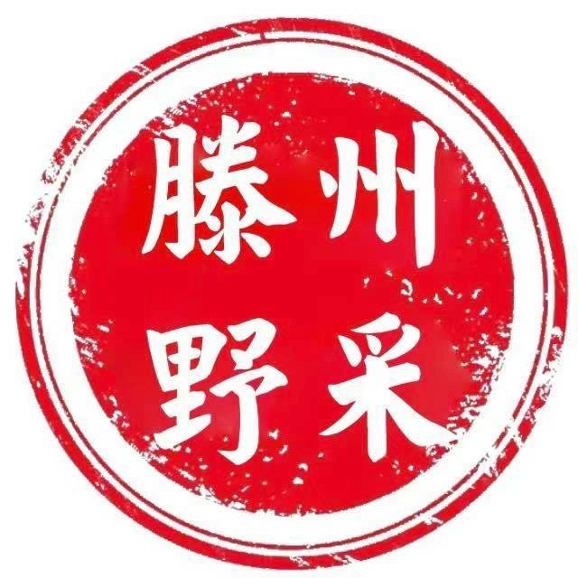 楚度•滕州野采局