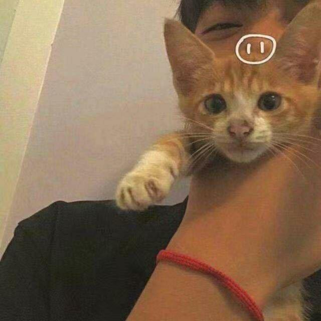 L4y.