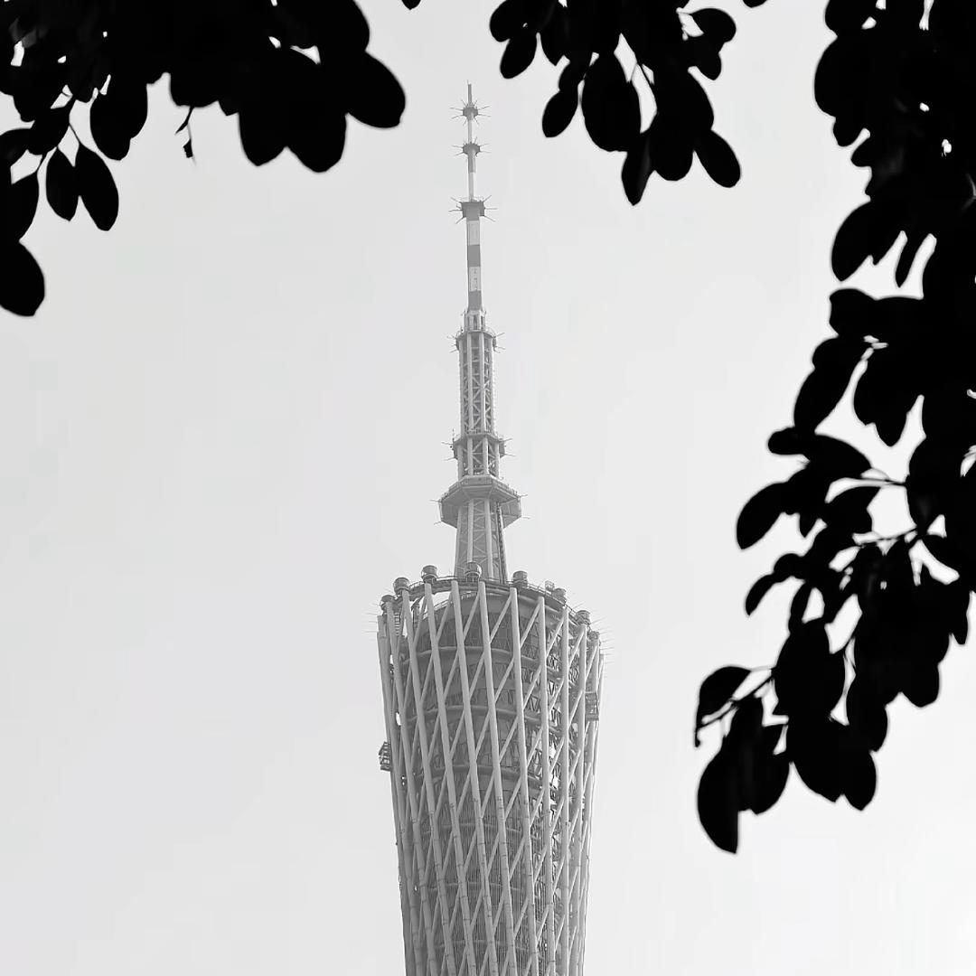 刘哥哥★