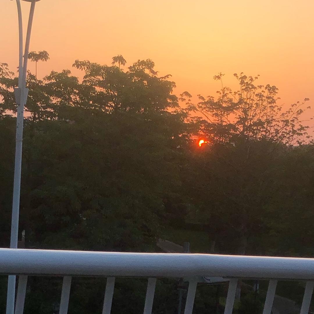 刘老登