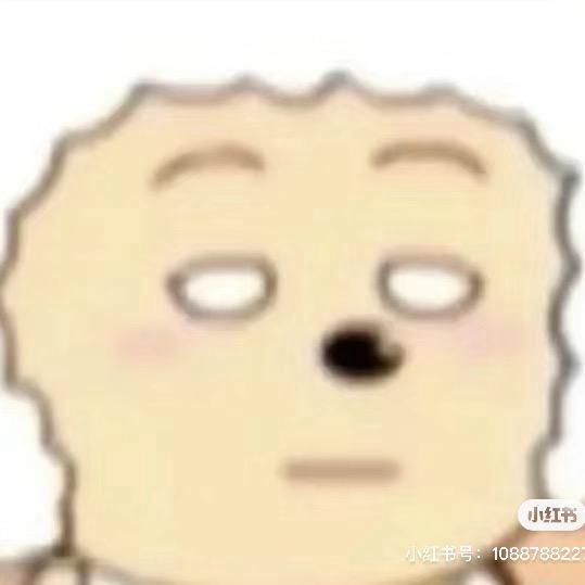 夏日懒洋洋