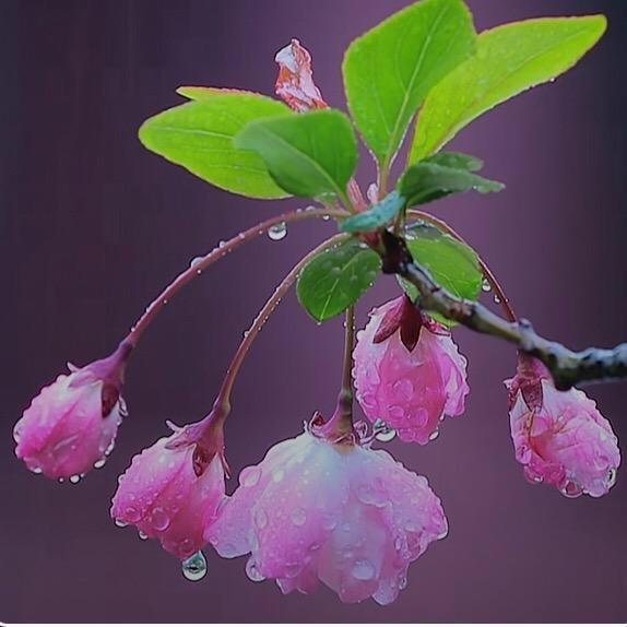 🍬咖啡不加糖☕