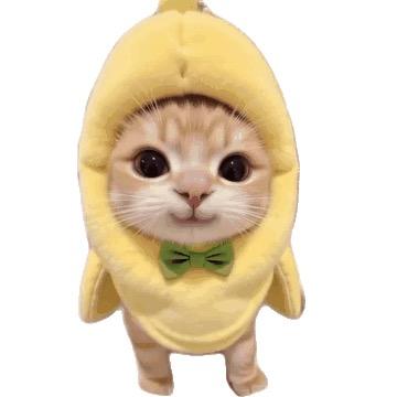 夹心奶豆🧀
