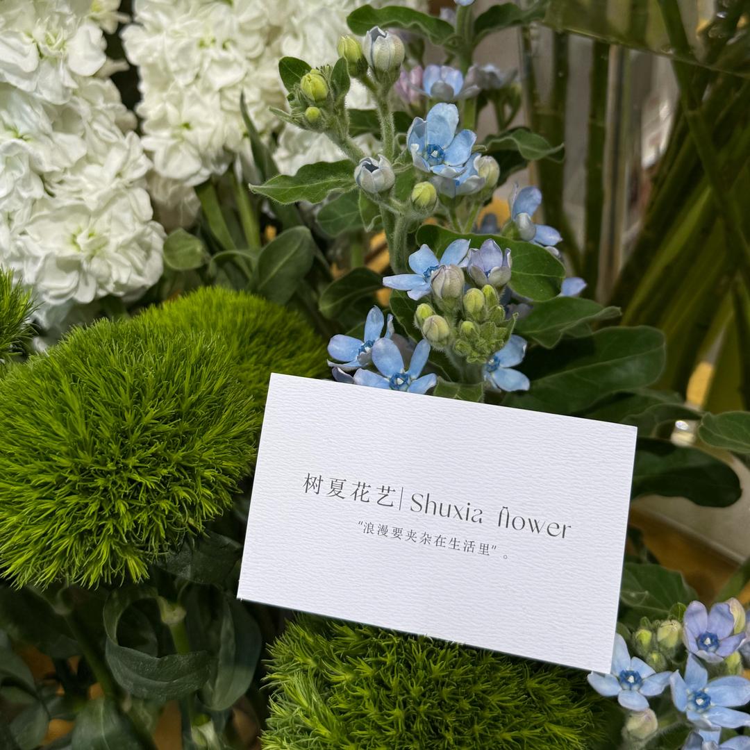 树夏花艺（小助理）