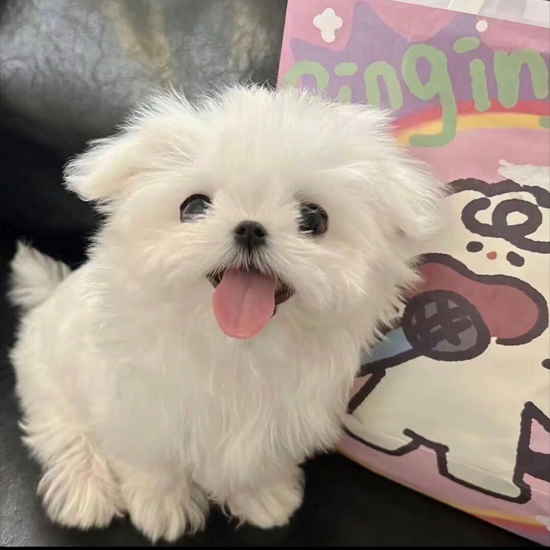 亿点点