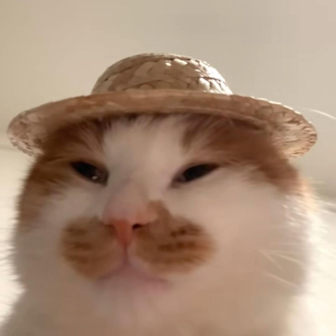 啸啸啸啸
