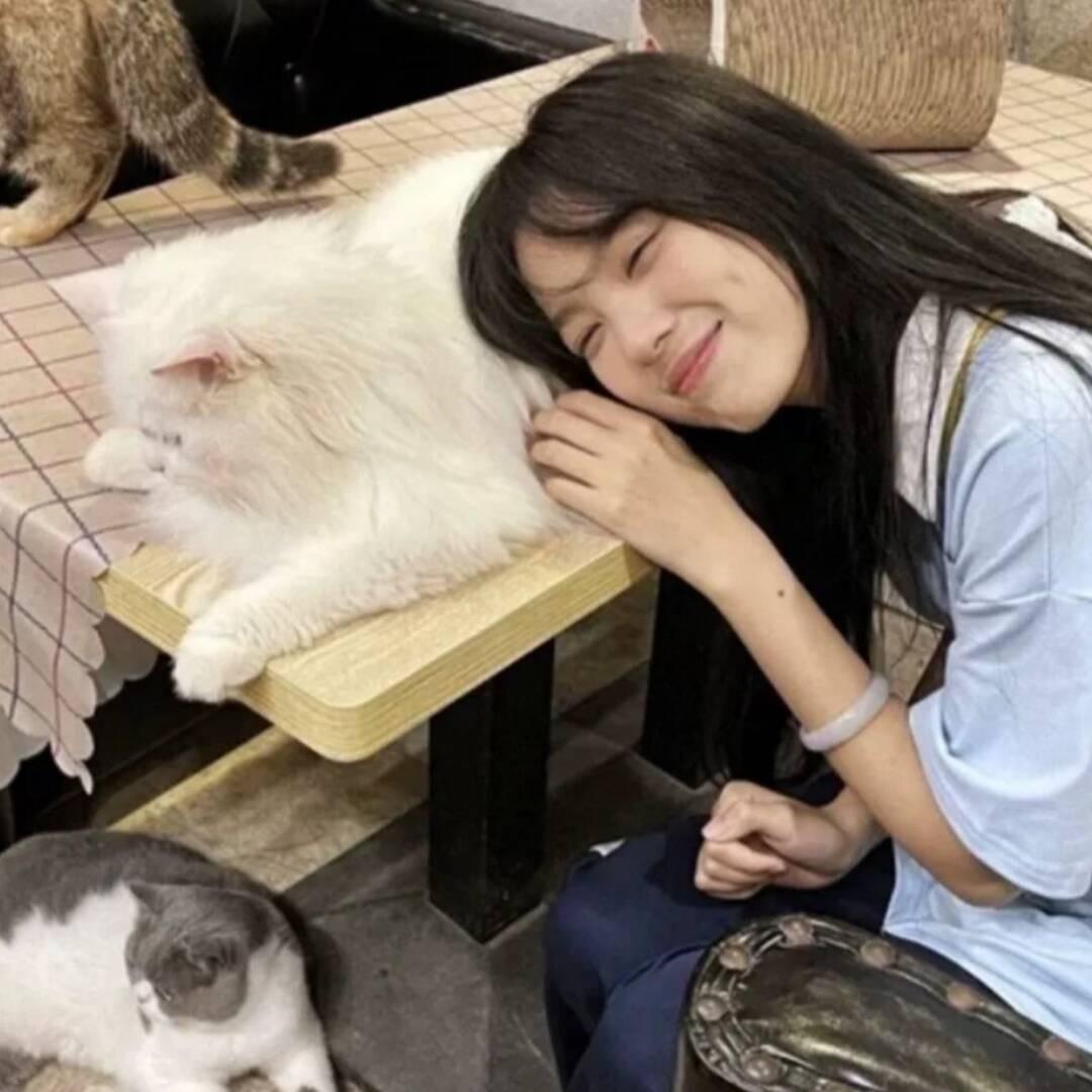 没记忆