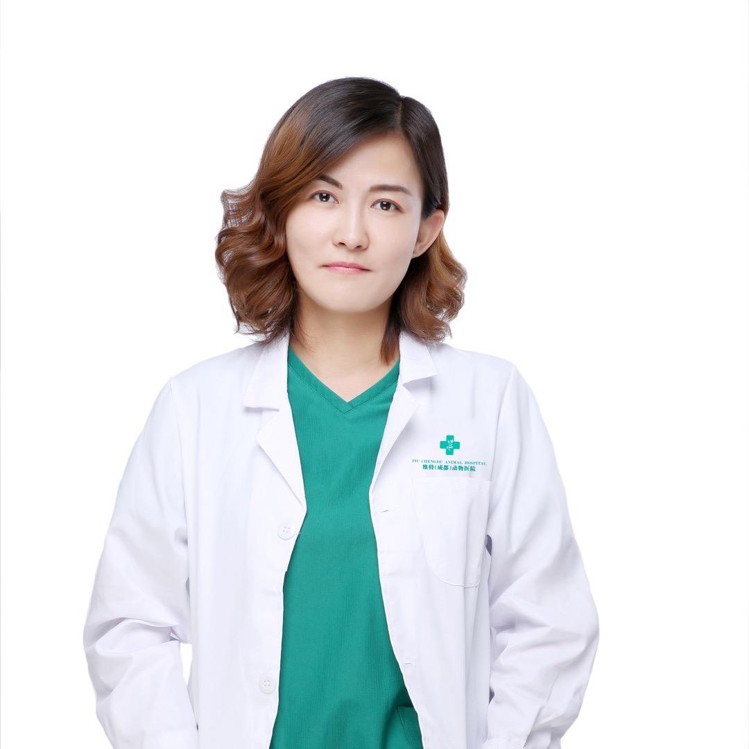 兽医黄妈